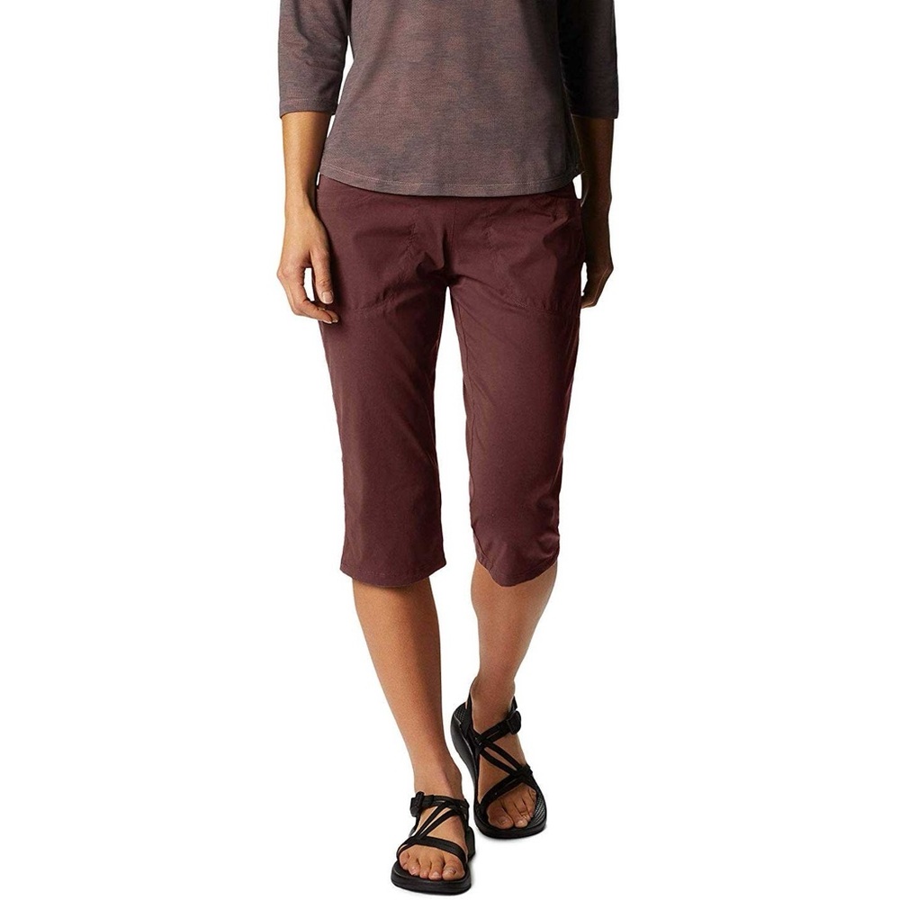 Mountain Hardwear Dynama /2 Capri Raisin